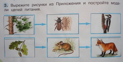 Нити невидимые пищевая цепочка