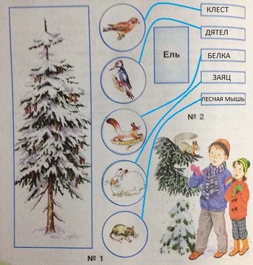 Невидимые нити в зимнем лесу