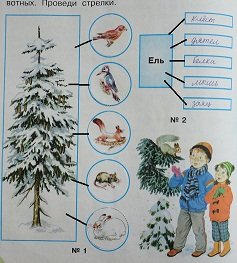 Невидимые нити леса схема