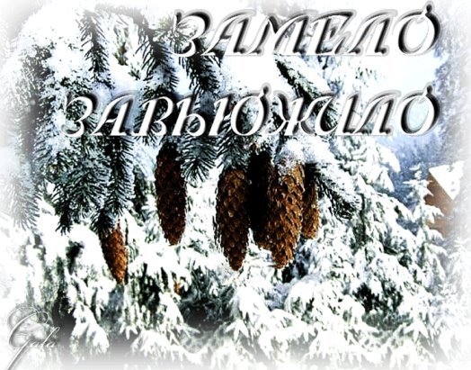 Доброе утро метель