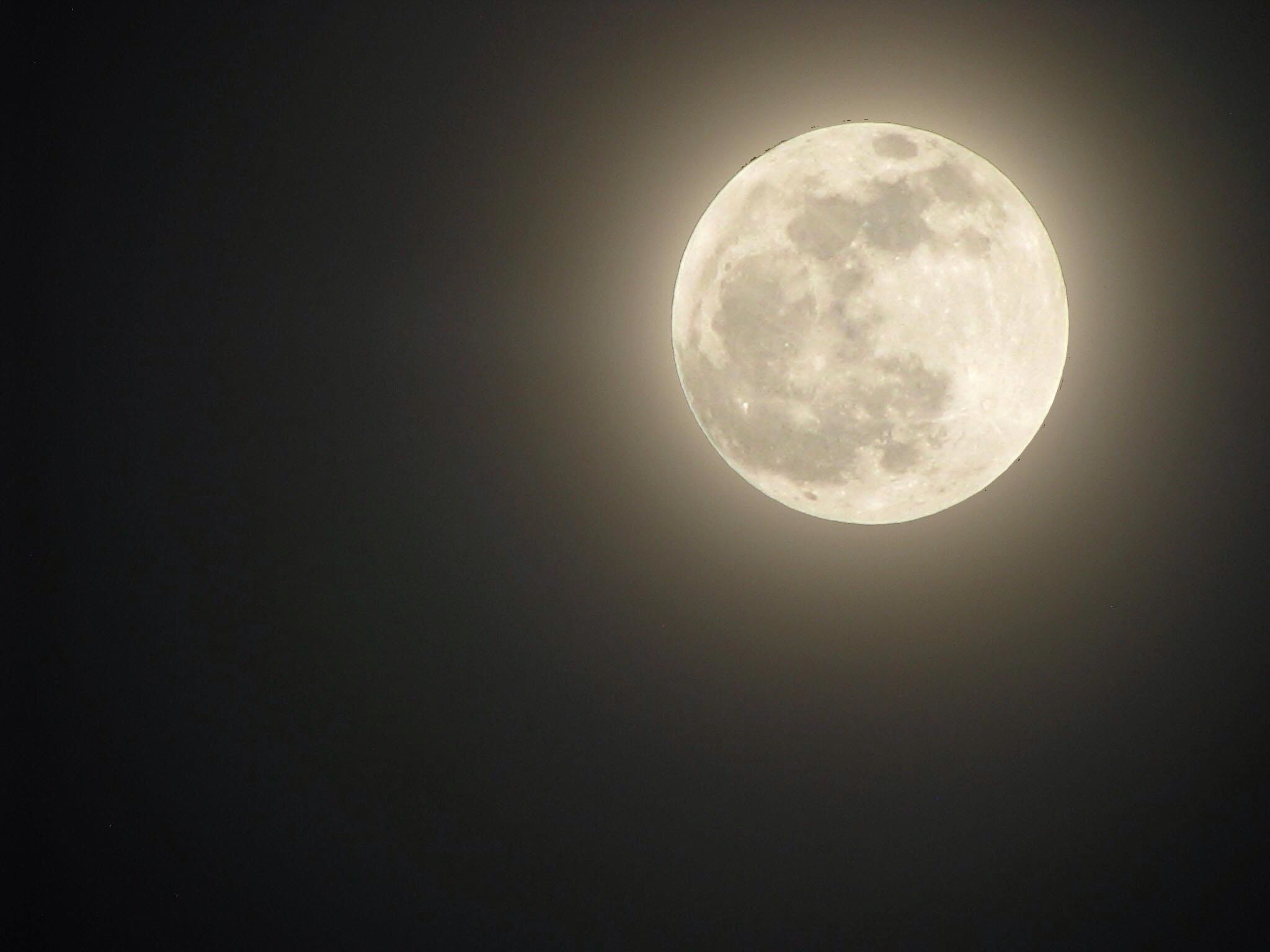 Луна светила из круглой. Луна круглая. Фото Луны. Луна на небе. Изображение Луны.