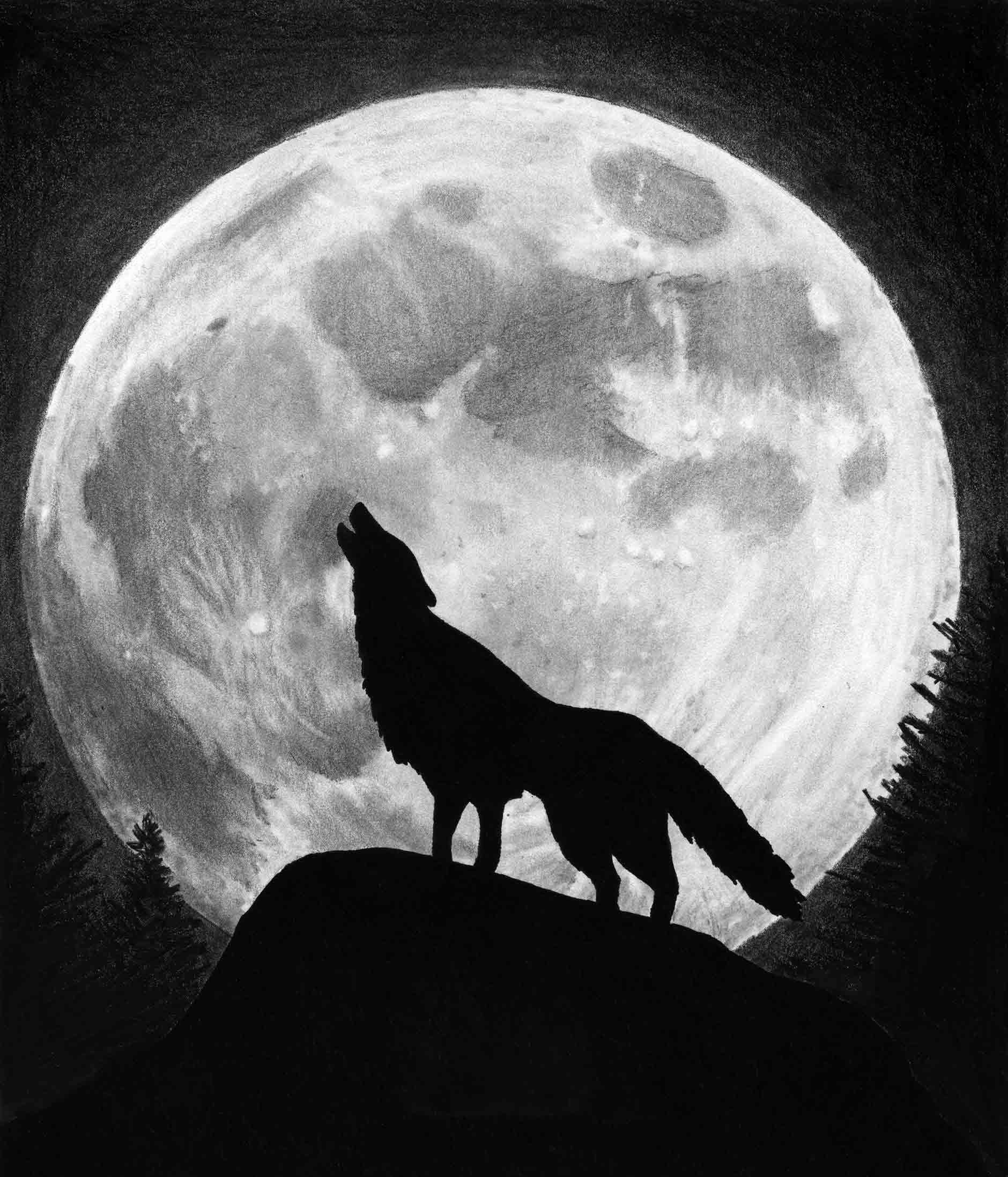 Волк воет луну Изображения – скачать бесплатно на Freepik