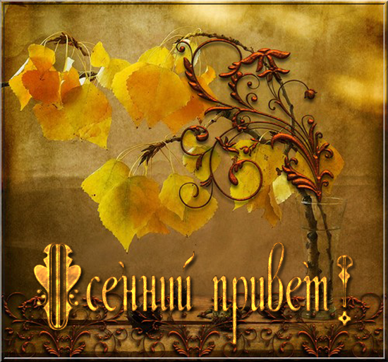 Осенний привет добрый день