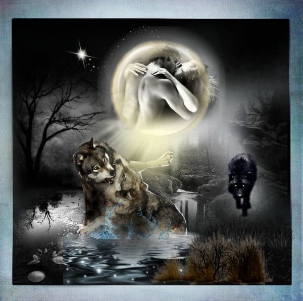 Отражение волка на Луне