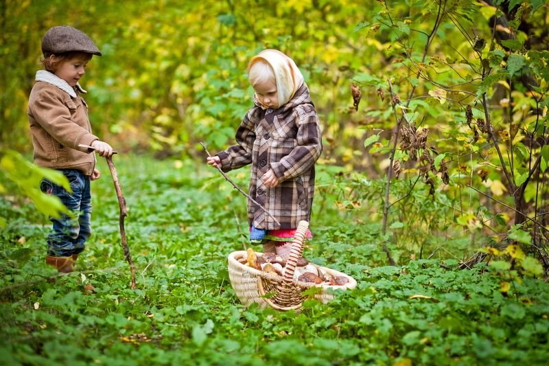 Девочка в лесу собирала грибы. Мальчик в лесу с корзинкой. Дети собирают грибы в лесу. Собирать ягоды. Дети с корзинками в лесу.