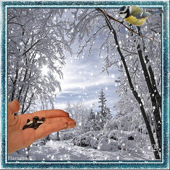 Доброго зимнего дня живые