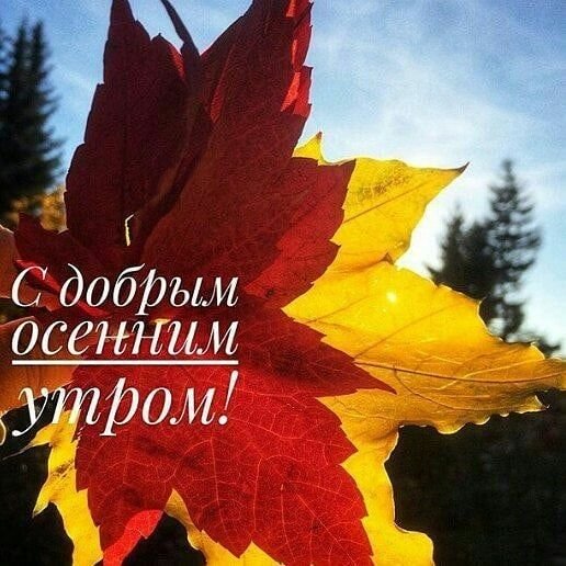 Доброе осеннее утро