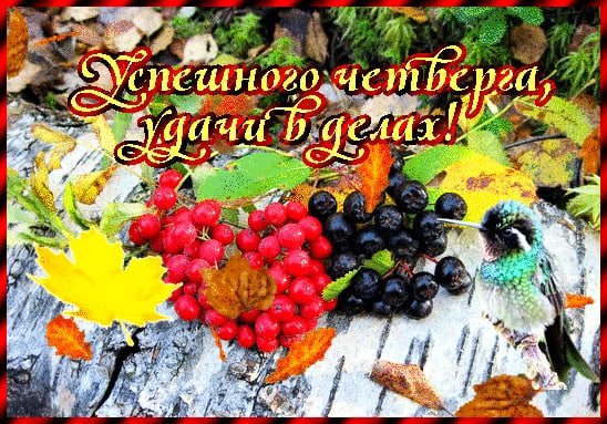 С добрым осенним утром четверга