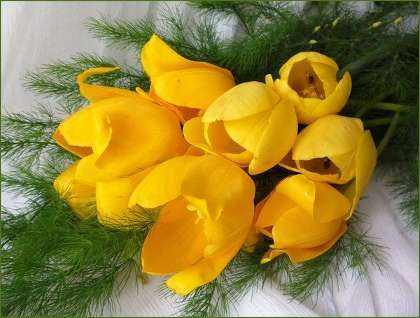 Новогодний цветок желтый