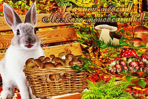 Доброе осеннее утро понедельника