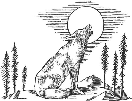 Волк воет на луну