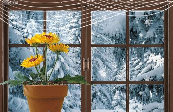 Анимированное окно со снегом