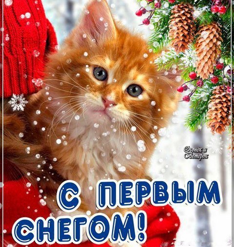 Открытки с первым снегом
