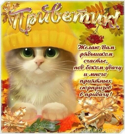 Хорошего осеннего дня и отличного настроения