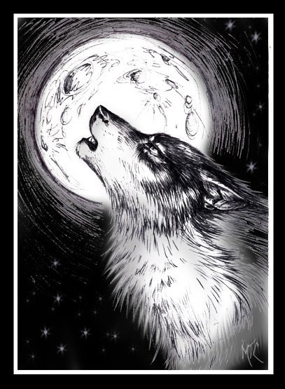 Раскраска волк воет на луну