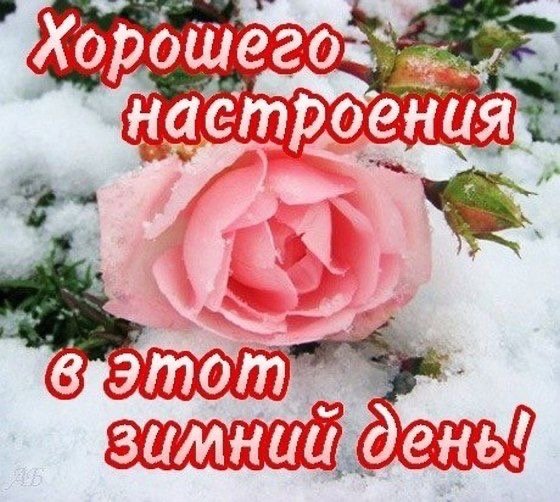 Удачного зимнего дня и хорошего настроения