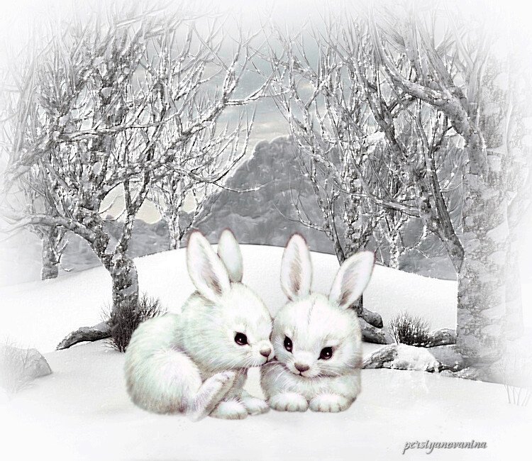 Зайка снегом. Зайчик в снегу. Зайчик зимой для детей. Заяц на снегу. Зимний пейзаж с зайцем.