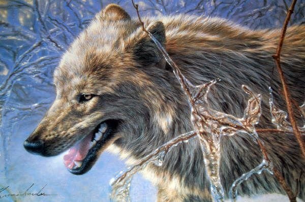 Вышивка тотемных животных