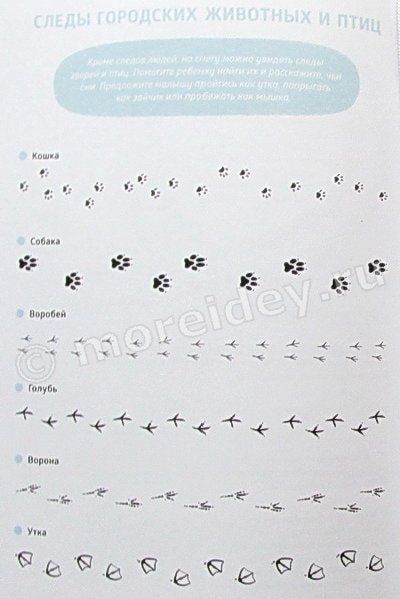 Следы воробья на снегу