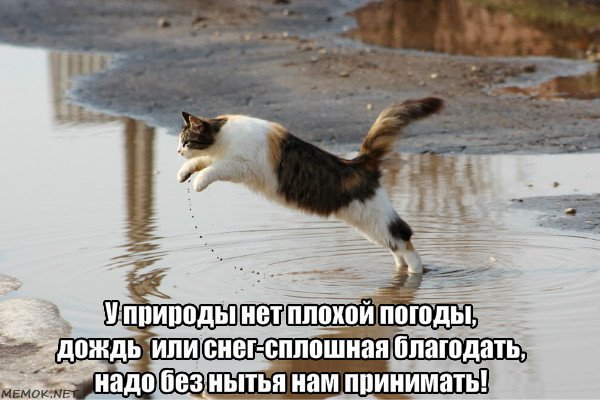 У природы нет плохой погоды доброе утро