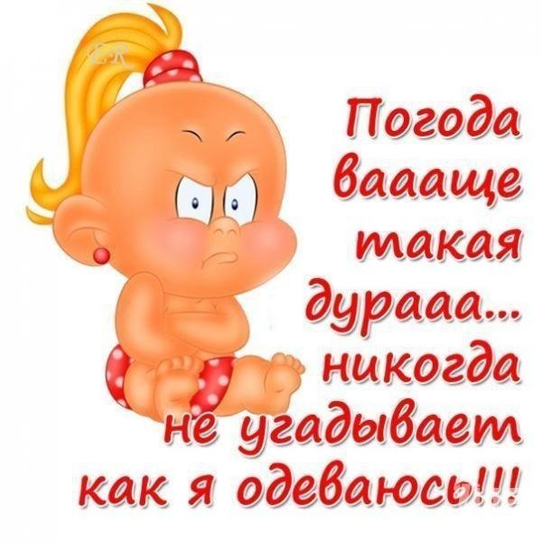 Открытки о погоде прикольные