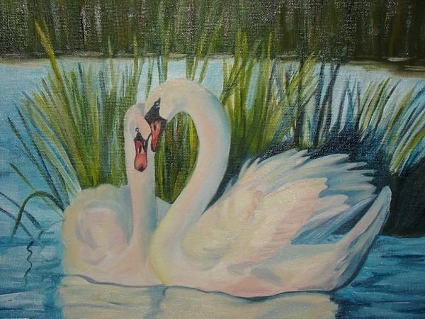 Рисование лебеди на озере