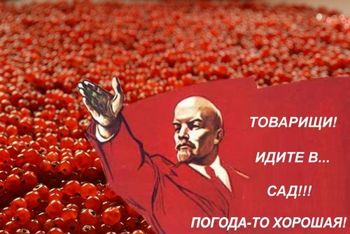 Товарищи погода хорошая идите