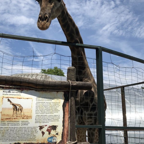 Краснодарский зоопарк сафари-парк