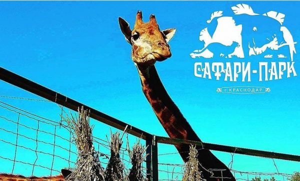Зоопарк сафари парк Краснодар