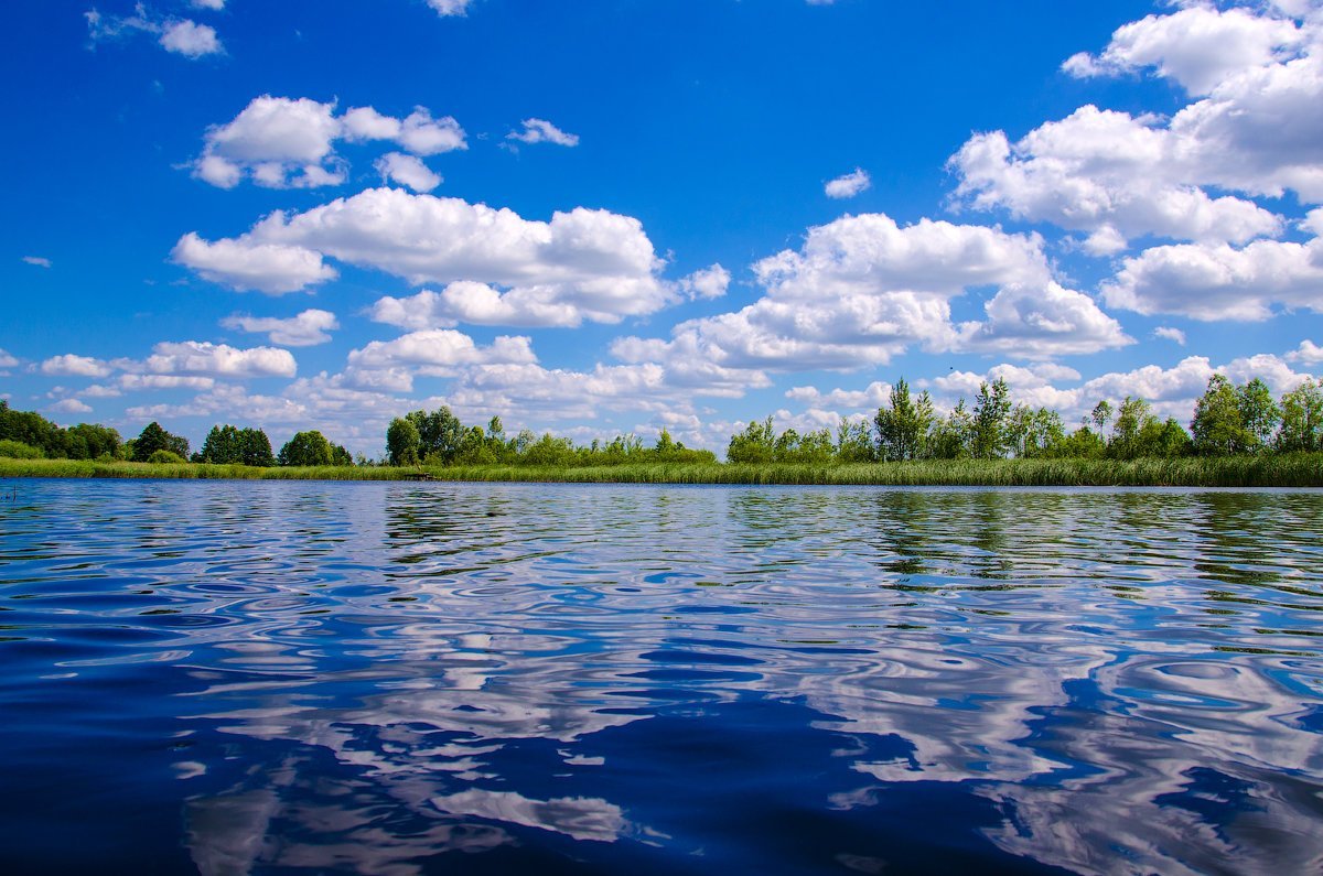 Люблю озера синие. Воронцова, озёра синие. «Край голубых озер» - Вологодская область. Река и небо. Озеро небо.