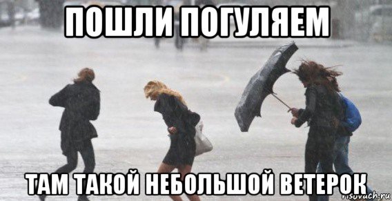 Сильный ветер прикол