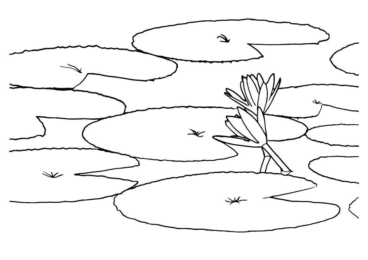 Раскраска ND Play «Антистресс-раскраска. Фламинго и озеро радости»