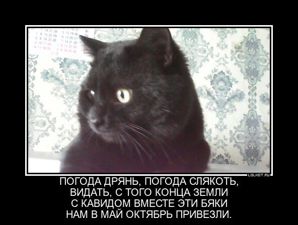 Погода дрянь