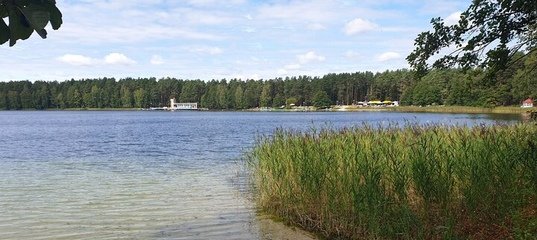 Белое озеро Шатура Дубасово