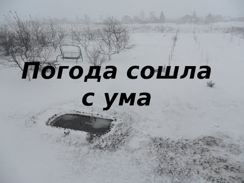 Природа сошла с ума