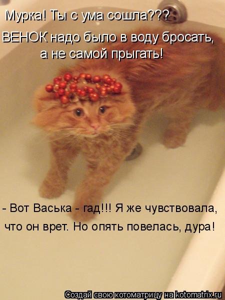 Я сошла с ума