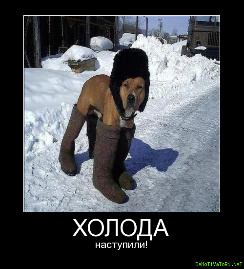 Смешные приколы про холод