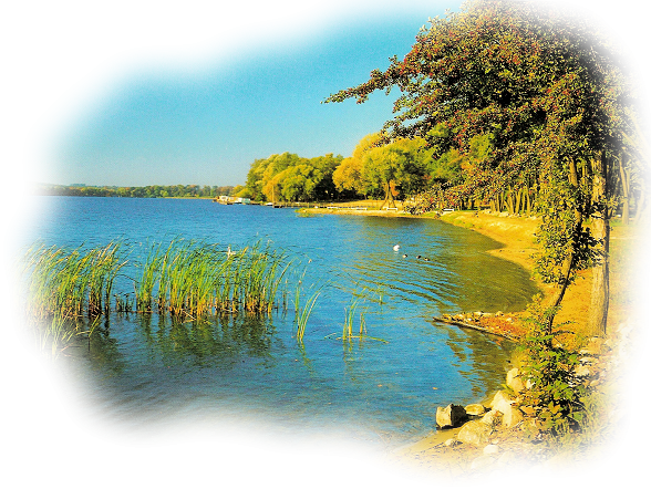 Река на бесцветном фоне