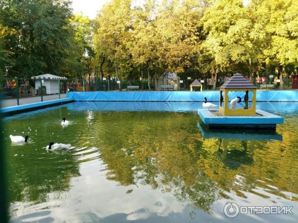 Картинки парк революции ростов на дону (67 фото)