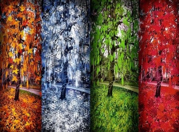 У природы нет плохой погоды