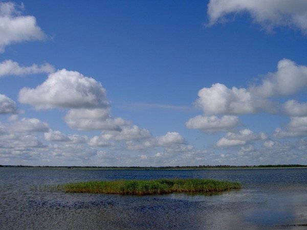 Салтаим озеро Омская