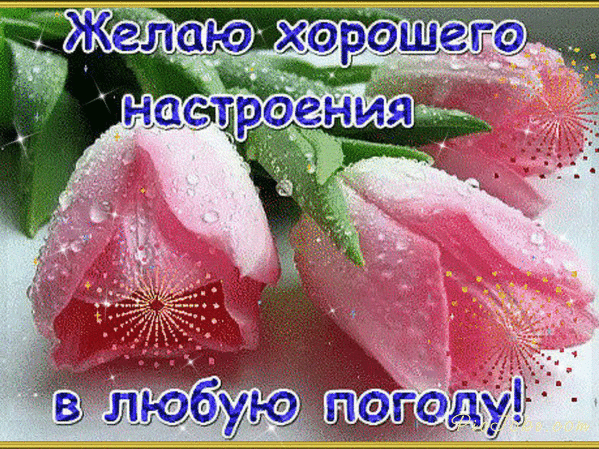 Хорошего дня несмотря на погоду