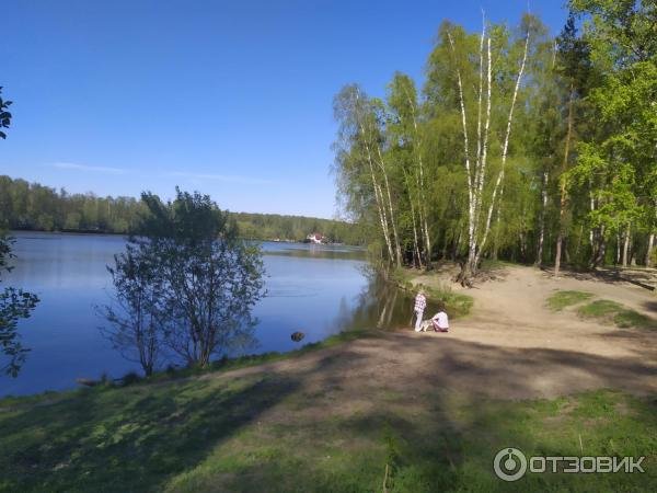 Парк в Малаховке у озера