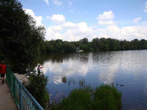 Малаховка озеро Московская область
