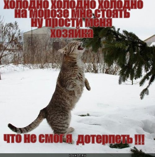 Картинки про Мороз прикольные с надписями