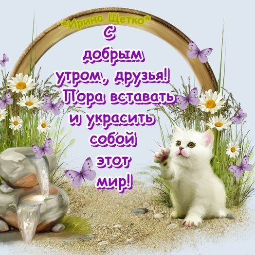 Доброе утро не смотря на погоду