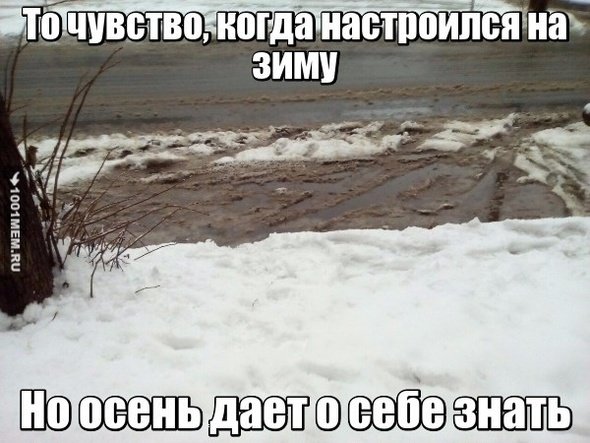 Шутки про дождь зимой