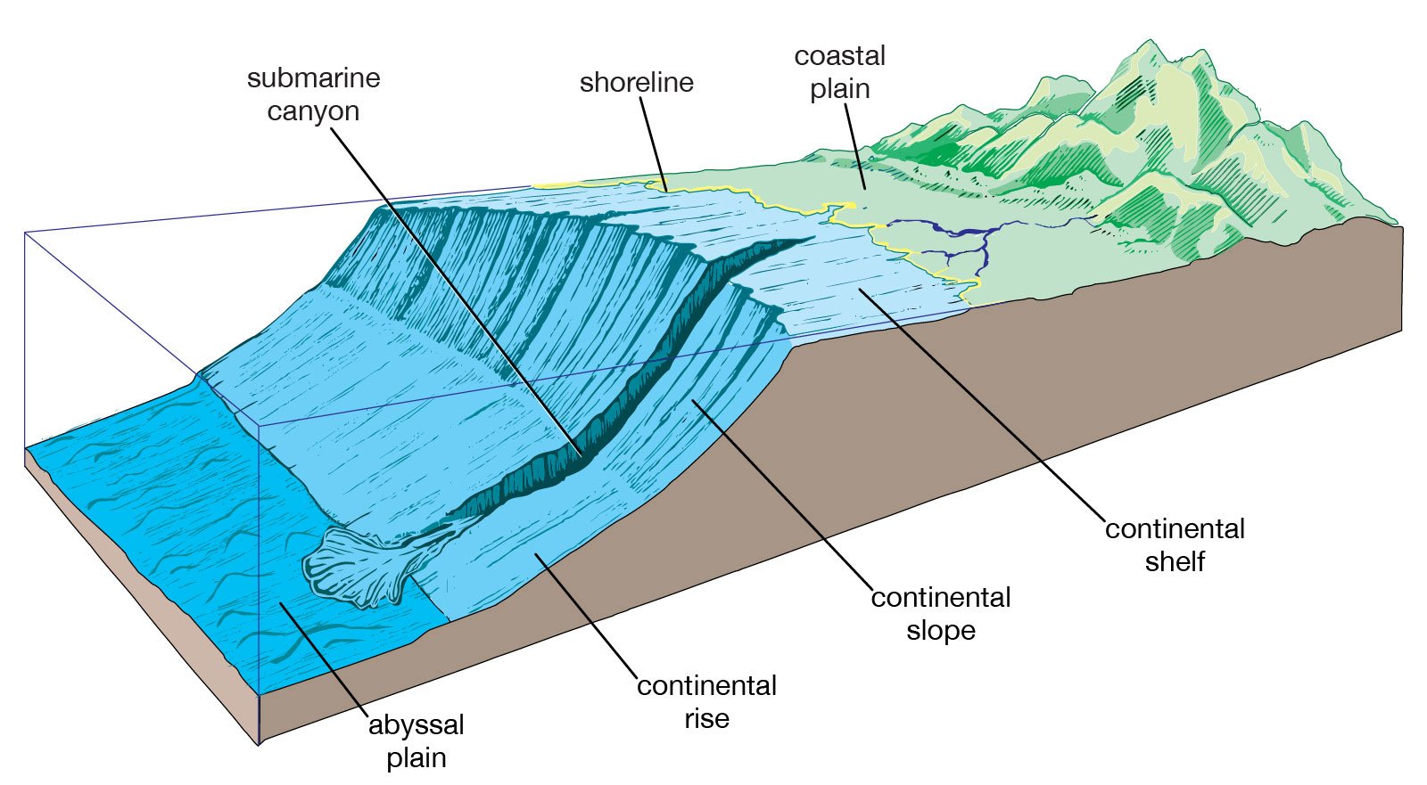 Внутренние континентальные воды. Строение черного моря шельф дно. Рельеф дна черного моря. Шельф и материковый склон. Материковый шельф и (континентальный) склон.