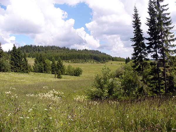 Природный парк «Шаркан» (Шарканский район);