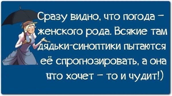 Смешные цитаты про погоду